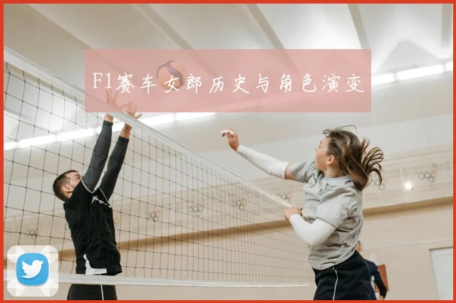 F1赛车女郎历史与角色演变